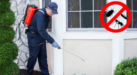 Çamlık Böcek ve Haşere İlaçlama böcek ilaçlama ve haşere kontrolü — ilaclama-tr.com